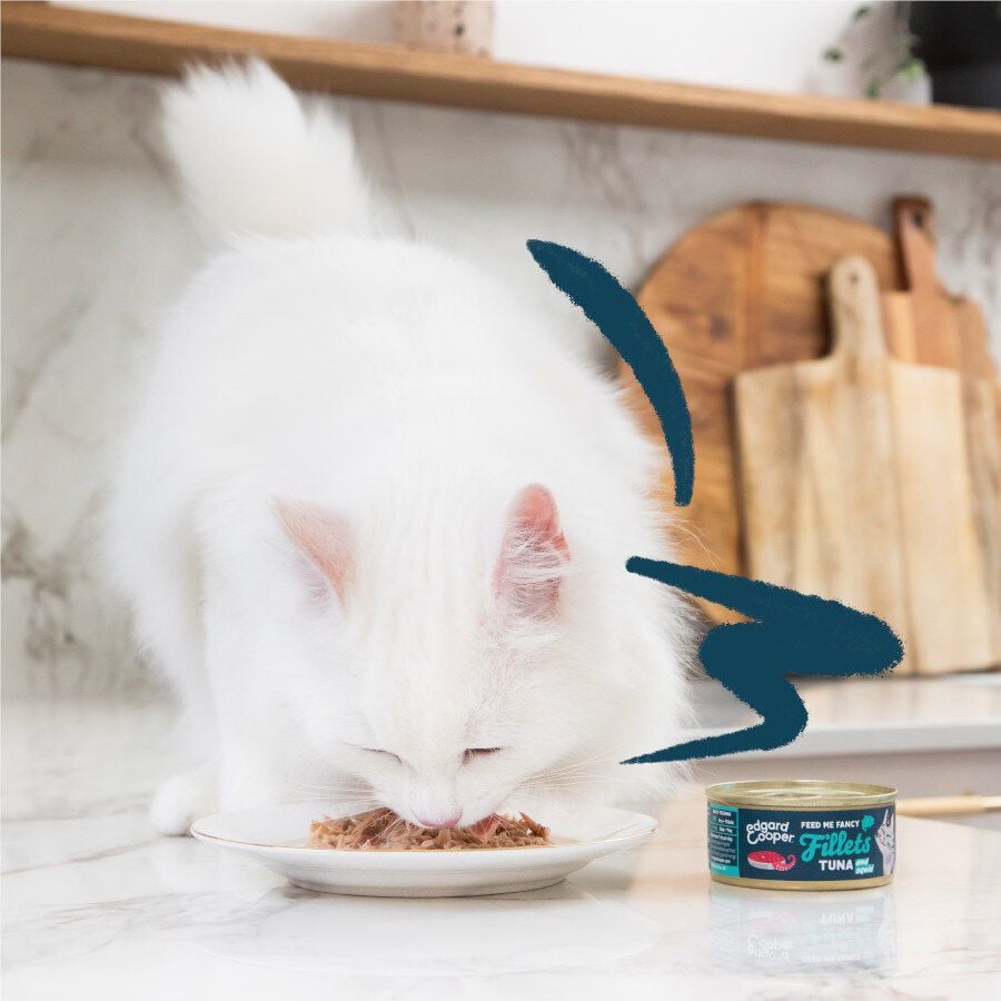 Edgard &amp; Cooper Filetes de Atún y Calamar lata para gatos thumbnail