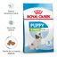 3 kg Royal Canin X-Small Puppy pienso para perros, , large indicador imagen numero 2