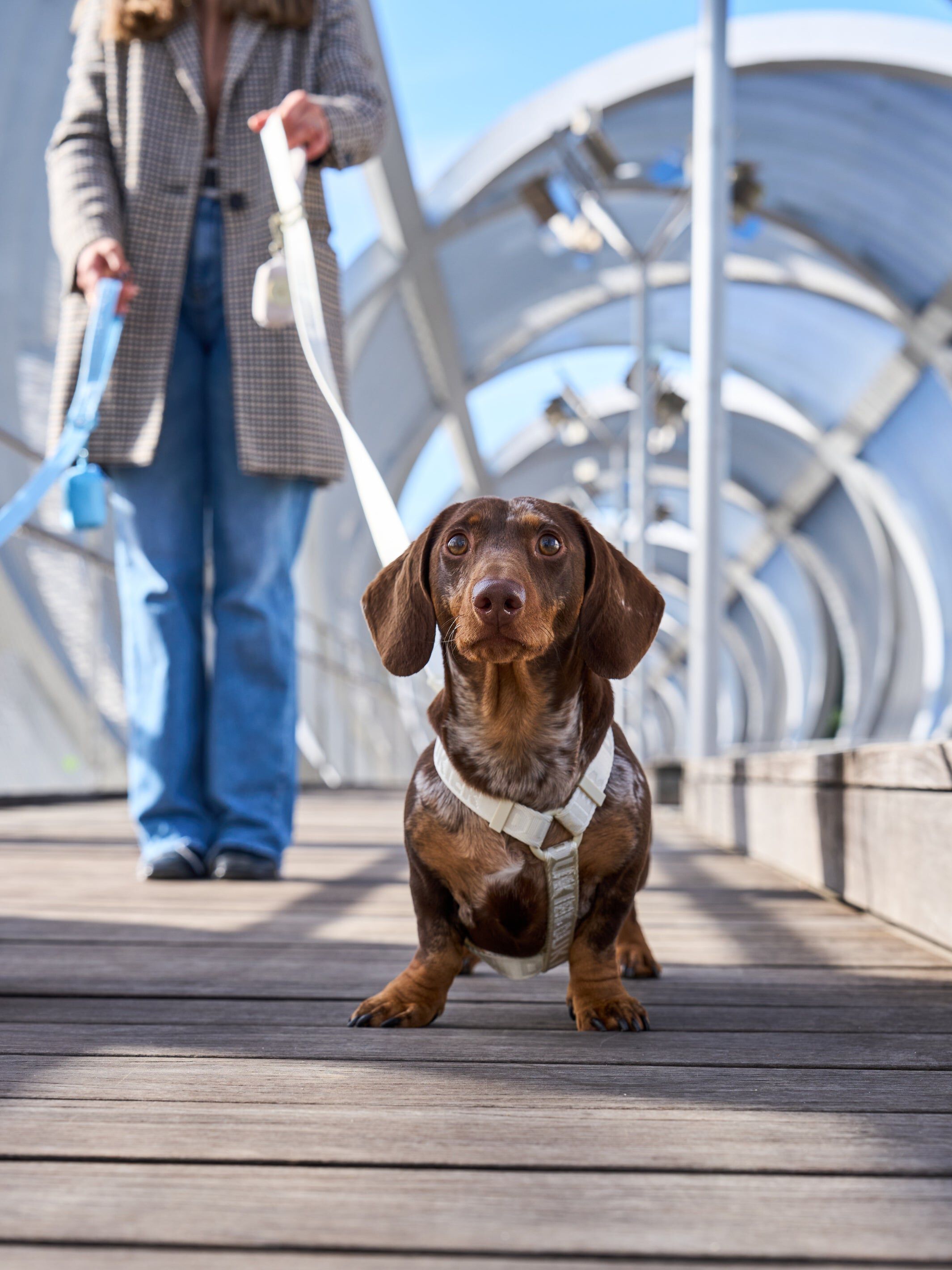 Arn&eacute;s Cl&aacute;sico Beige (Essentials) M, , large Imagen numero 4