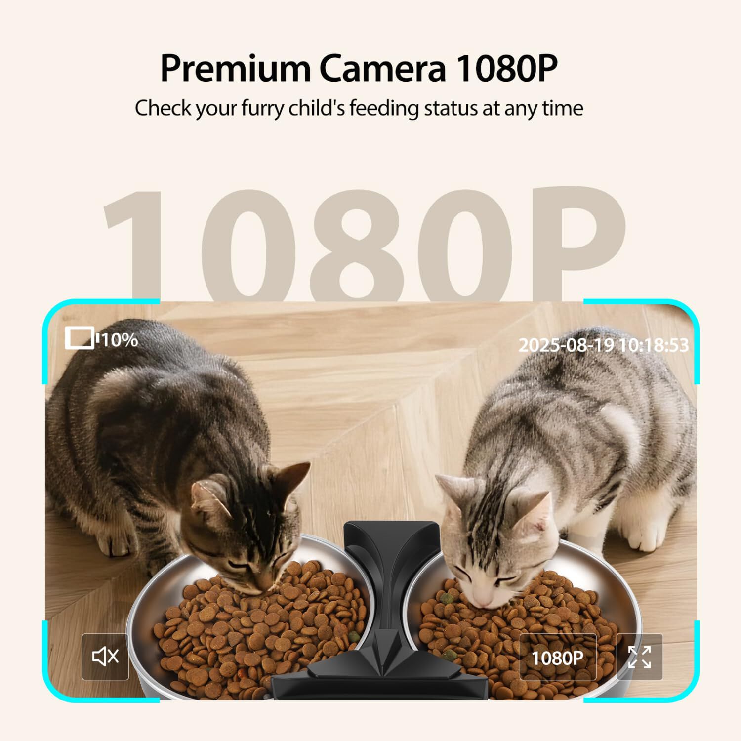 Nobleza Comedero Gato Automático 6L con Cámara 1080P 120°: App Control, WiFi 5G/2.4G, Audio Bidireccional, Llamadas Mascotas, Detección Movimiento + Sello Hermético ¡Control Remoto Total! thumbnail