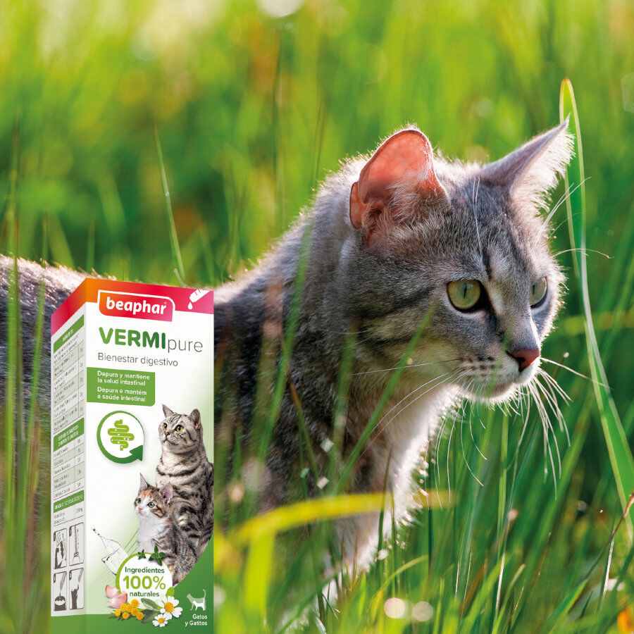 Beaphar VERMIpure Repelente Interno Natural L&iacute;quido para gatos, , large Imagen numero 6