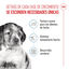 140 g Royal Canin Medium Puppy Sobres, , large indicador imagen numero 3