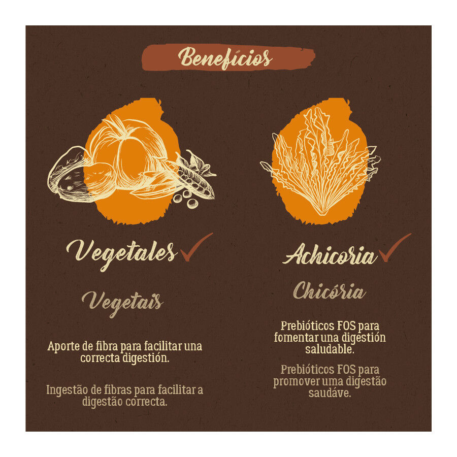 True Origins Pure Grain Free Adult Maxi Pollo pienso para perros thumbnail