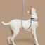 Baona correa doheny de nylon reciclado multicolor para perros, , large indicador imagen numero 2