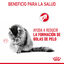 85 g Royal Canin Hairball Care Sobre en Gelatina para gatos, , large indicador imagen numero 4
