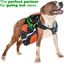 Edipets correa extensible ajustable con sistema de frenado verde y negro para perros, , large indicador imagen numero 5
