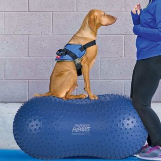 Plataforma de equilibrio para mascotas color Azul