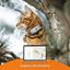 Localizador Weenect GPS Cats&sup2; para gatos, , large indicador imagen numero 5