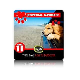 Tgbox tres días con tu mascota en Navidad