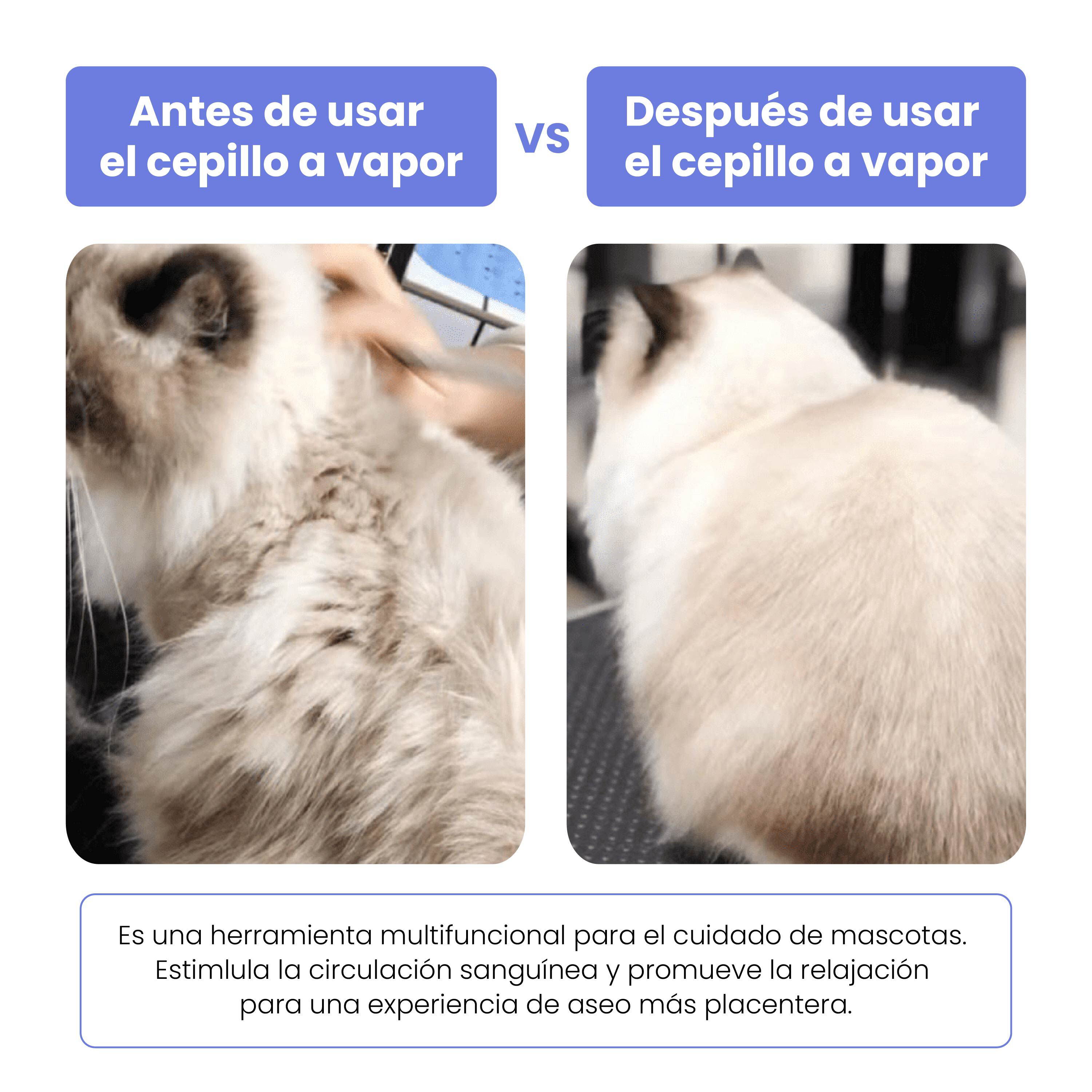 TheKingPet Cepillo Masajeador para Baños en Seco 3 en 1 - Quitapelos Fácil para Perros y Gatos thumbnail