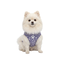 Gotoo Impermeable Estampado Huellas para perros, , large indicador imagen numero 7