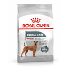Royal Canin Medium Dental Care pienso para perros, , large image number null