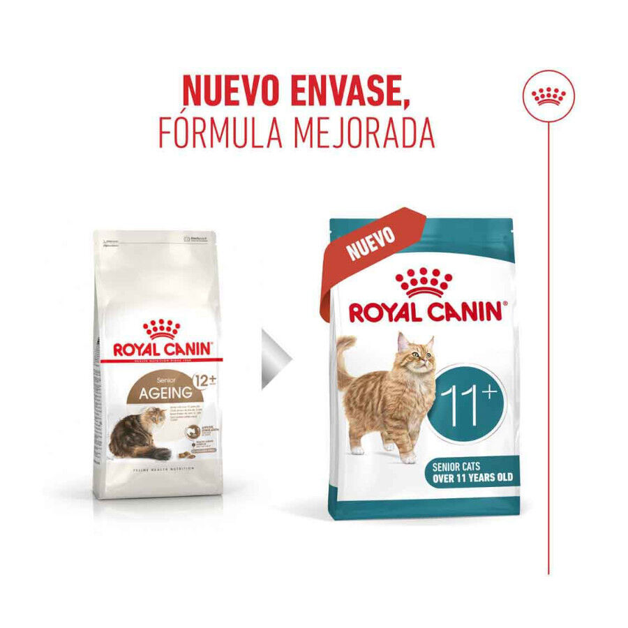 4 kg Royal Canin Ageing 11+ pienso para gatos, , large Imagen numero 3