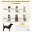 PawHut Sofá para Perros Medianos Sofá Cama para Mascotas Gatos Tapizado en Terciopelo con Patas de Madera Carga 25 kg 98,5x60,5x35,5 cm Gris Oscuro, , large indicador imagen numero 4