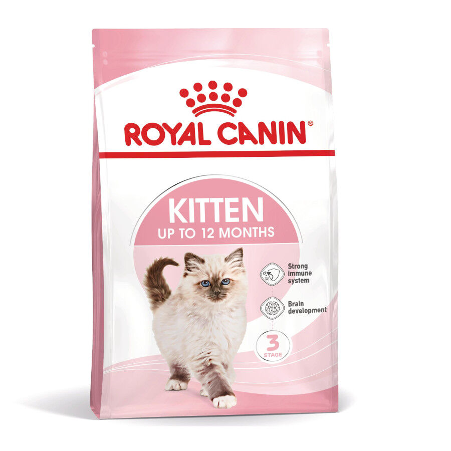 Royal Canin Kitten pienso para gatos thumbnail