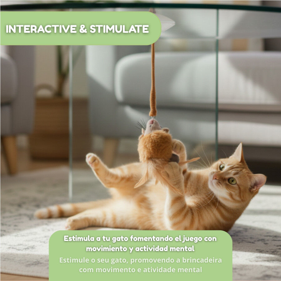 Tootoy! Juguete Interactivo Rat&oacute;n con Ventosa para gatos, , large Imagen numero 5