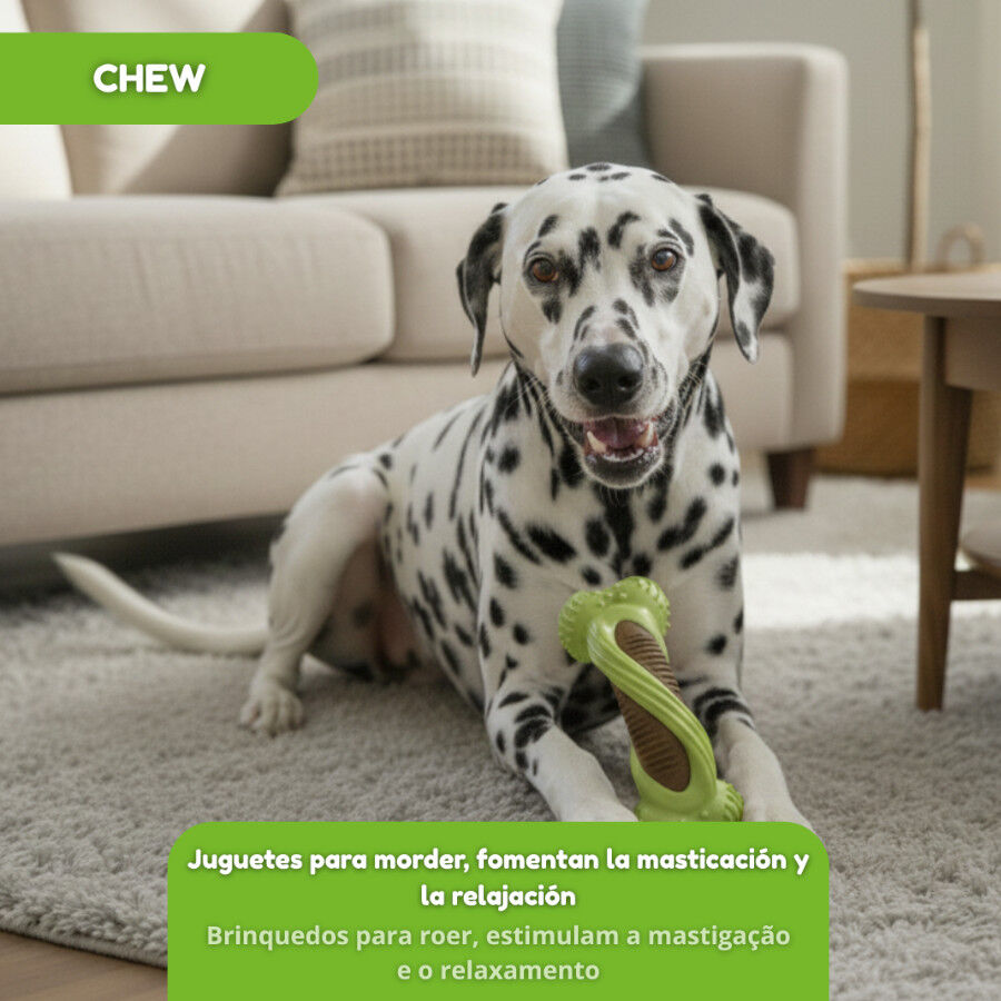 Tootoy! Hueso Mordedor Dental Verde y Marr&oacute;n para perros, , large Imagen numero 5