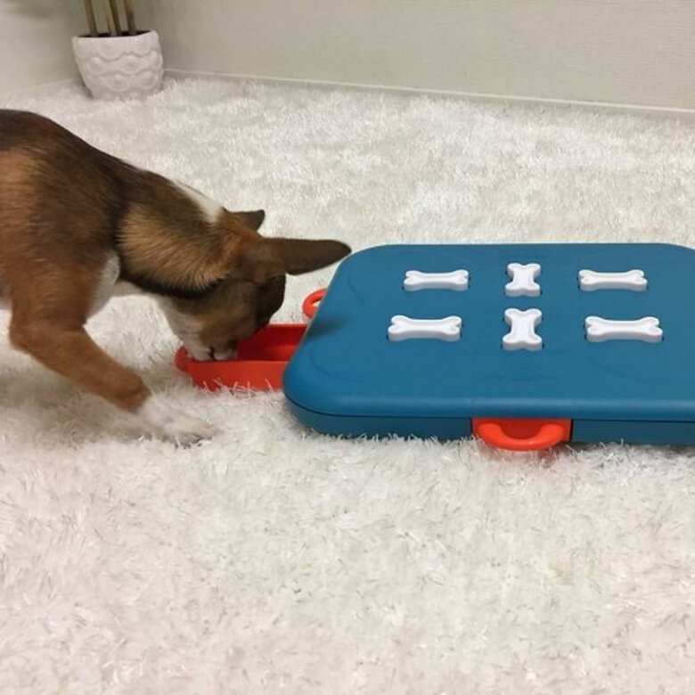 Juguete interactivo para perros color Azul y Rojo, , large image number null