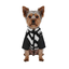 Gotoo Chaqueta Estampado ZigZag para perros, , large indicador imagen numero 7