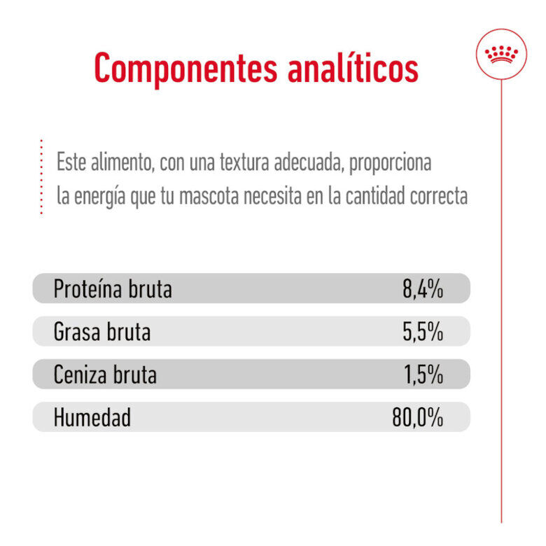 195 g Royal Canin Mini 8+ Ageing lata para perros, , large Imagen numero 7