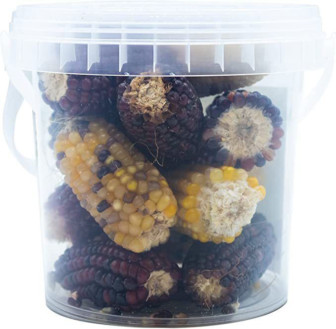 Mini Mazorcas de Ma&iacute;z para gallinas y Conejos - PicoMa&iacute;z &ndash; Snack 100% Natural para roedores y Aves &ndash; 240 g &ndash; Ayuda al Desgaste de Dientes y Pico, , large Imagen numero 2