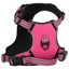 vidaXL Arnés para perros con correa y collar ajustable rosa S, , large indicador imagen numero 3