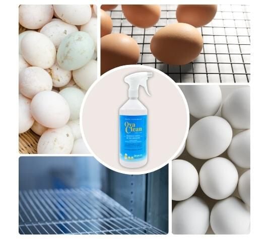 Finca Casarejo Ova Clean Spray Desinfectante Natural para Incubadoras de Huevos thumbnail