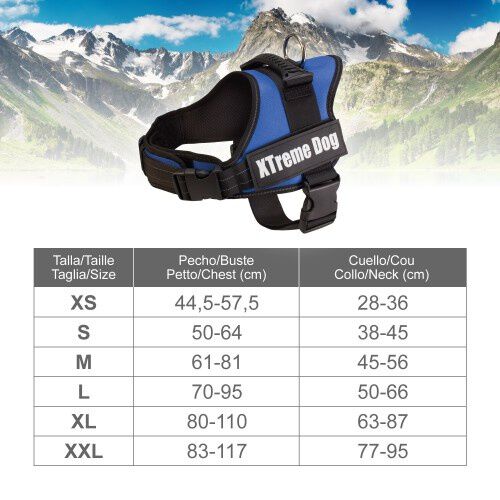 Arn&eacute;s para perros Arquivet Xtreme color azul, , large Imagen numero 5