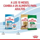Royal Canin Mini Puppy pienso para perros, , large image number null
