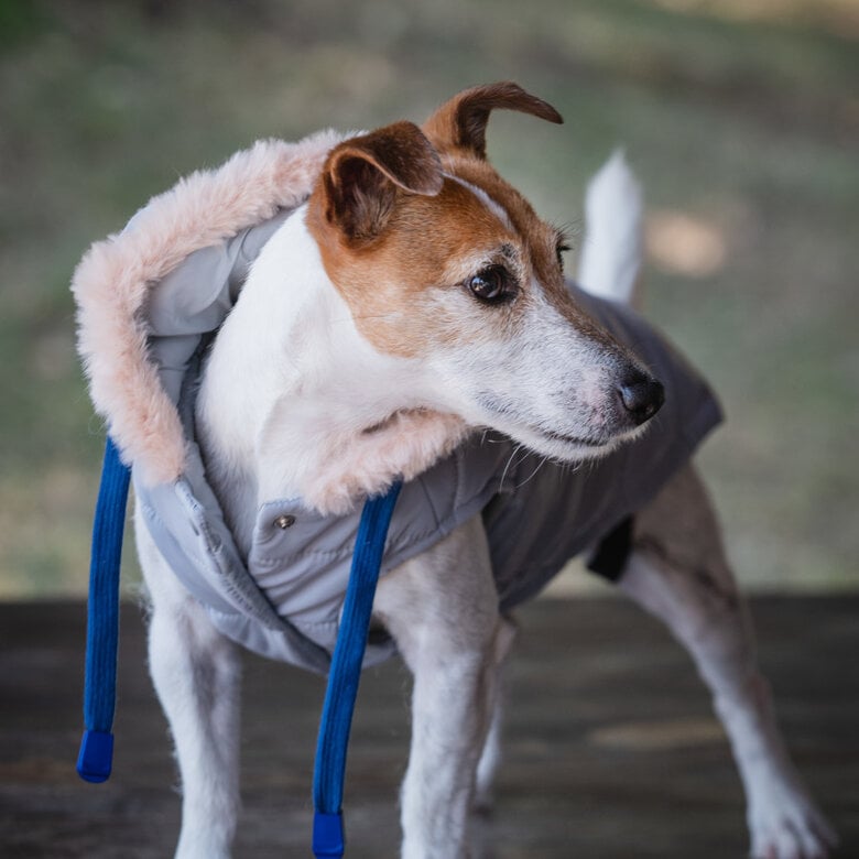 Freedog Iceguard abrigo impermeable gris para perros — Gris, talla L - T40