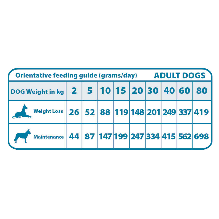 Natural Greatness Joint & Mobility Salm&oacute;n Pienso Hipoalerg&eacute;nico para perros, , large Imagen numero 2