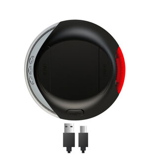 Flexi Literna de Luz led negra para correas