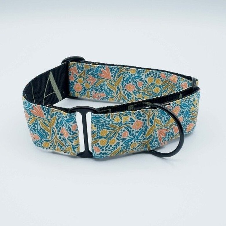 Baona collar martingale kamilo de nylon reciclado multicolor para perros, , large image number null