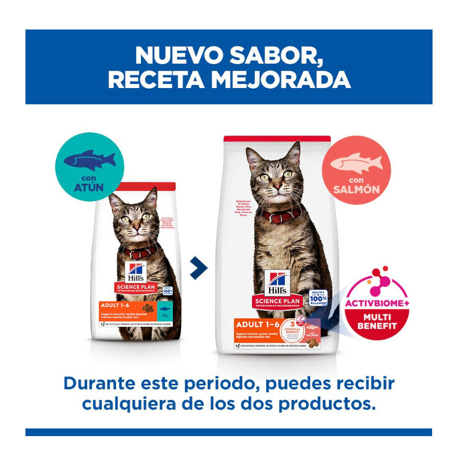 7 kg Hill's Science Plan Adult Pienso Salm&oacute;n para gatos, , large Imagen numero 3