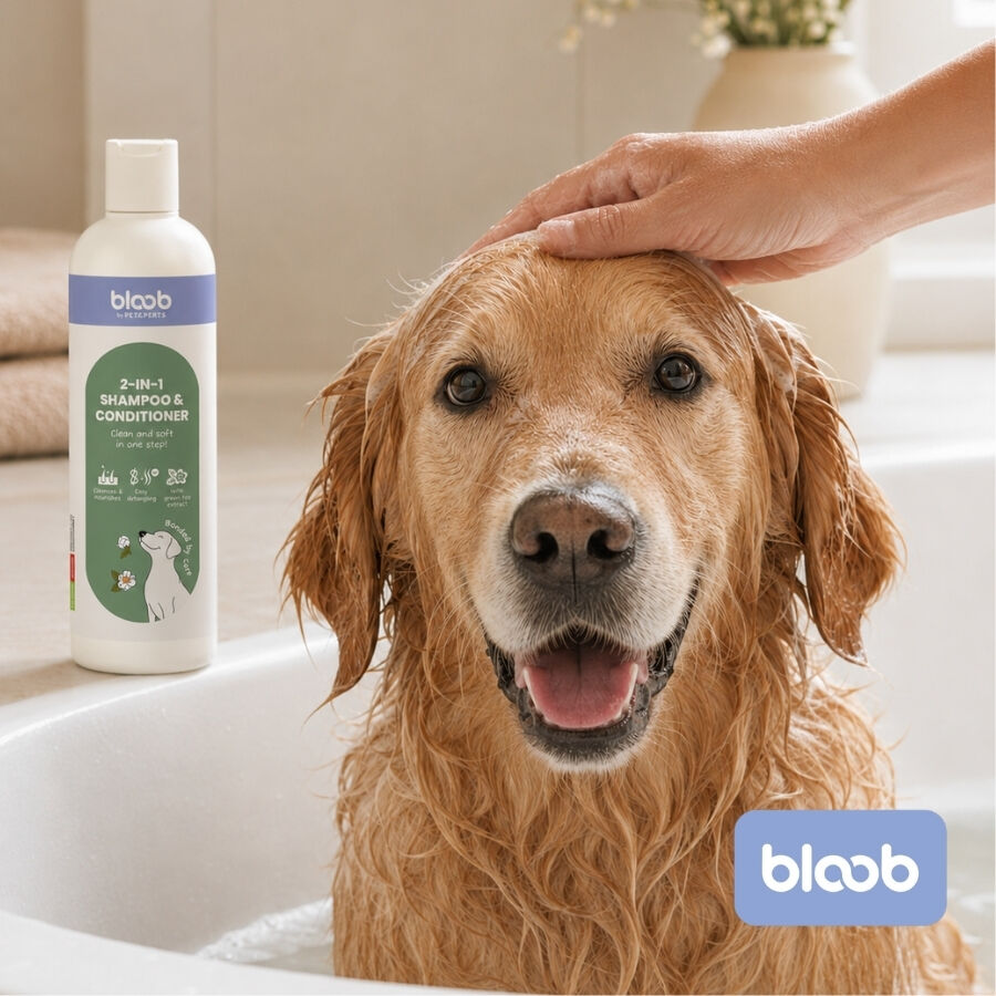 Bloob 2 en 1 Champ&uacute; & Acondicionador para perros, , large Imagen numero 2