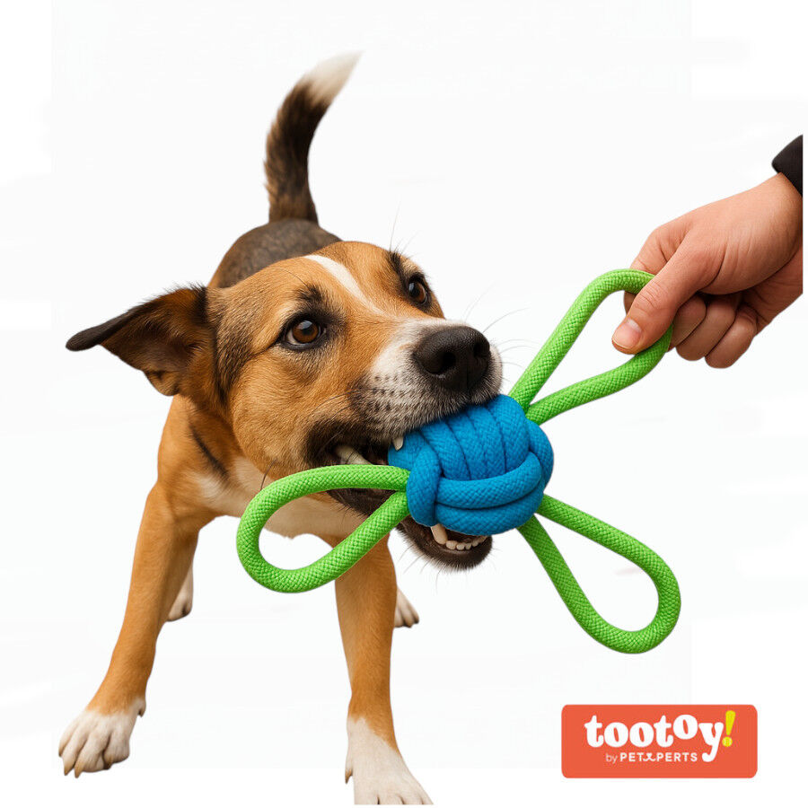 Tootoy! Mordedor de Cuerda M&uacute;ltiple con Pelota Verde y Azul para perros, , large Imagen numero 8