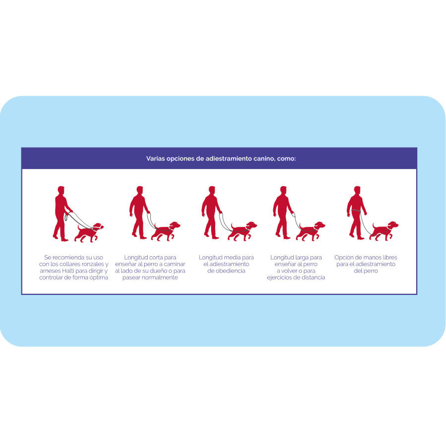 Halti correa de adiestramiento negra para perros medianos y pequeños thumbnail