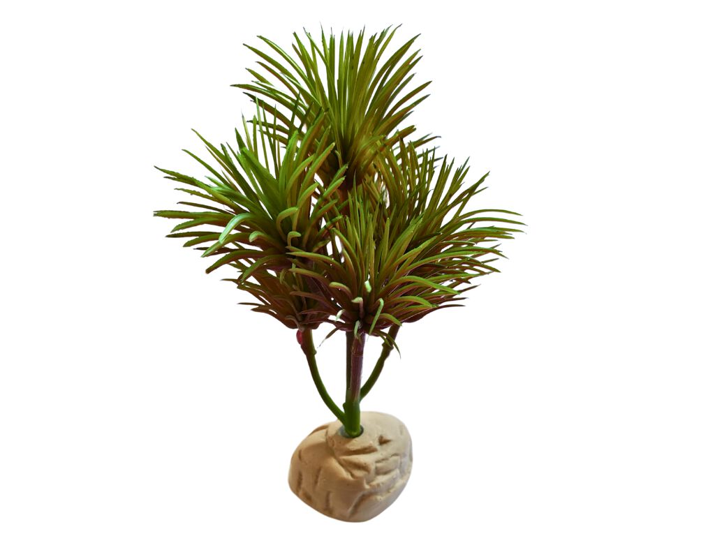 Reptilhábitat Planta Kleinia De Decoración Para Terrarios thumbnail