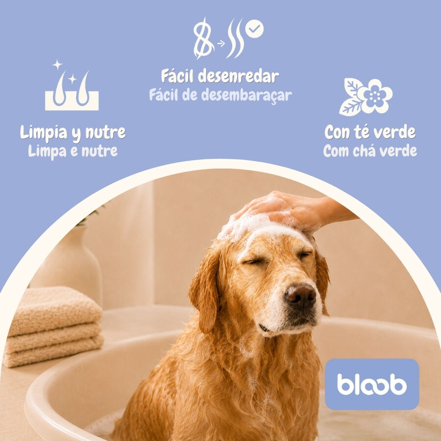 Bloob 2 en 1 Champ&uacute; & Acondicionador para perros, , large Imagen numero 3