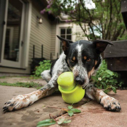 Juguete Toppl Roly-Poly para perros color Verde, , large Imagen numero 3