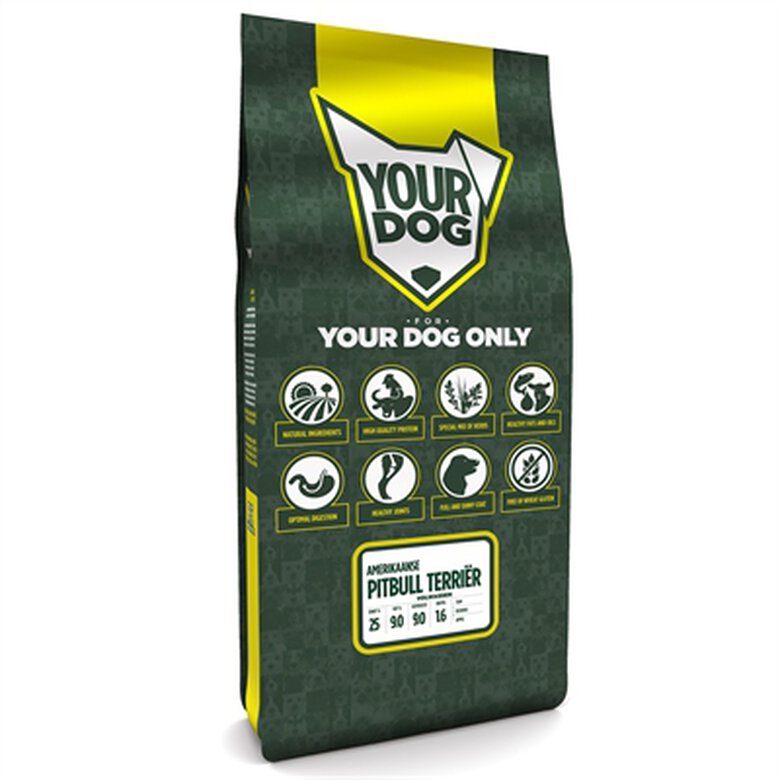 YOURDOG AMERICAN PITBULL TERRIER ADULTO