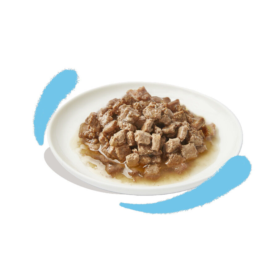 85 g Edgard & Cooper Trocitos de Pollo en Salsa lata para gatos, , large Imagen numero 2