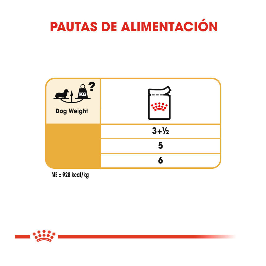 Royal Canin Adult Teckel paté en sobre para perros thumbnail