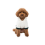 Gotoo Pijama Bloque Multicolor para perros, , large indicador imagen numero 7