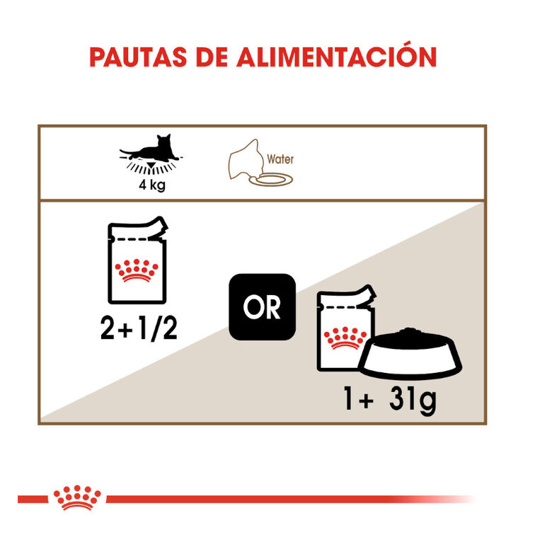 Royal Canin Ageing 12+ sobre en salsa para gatos thumbnail