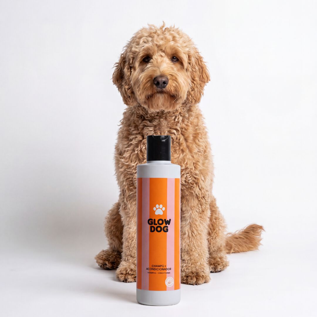 Glow Dog Champ&uacute; y Acondicionador 2 en 1 para perros &middot; Pelo suave y brillante &middot; F&aacute;cil cepillado &middot; Con Vitamina E y Lanolina &middot; Sin parabenos &middot; Uso frecuente &middot; Todo tipo de pelaje &middot; 200 ml, , large Imagen numero 1