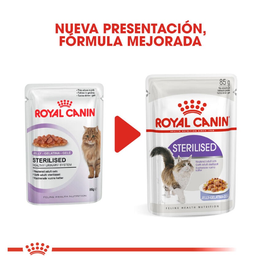 Royal Canin Sterilised gelatina sobres para gato thumbnail