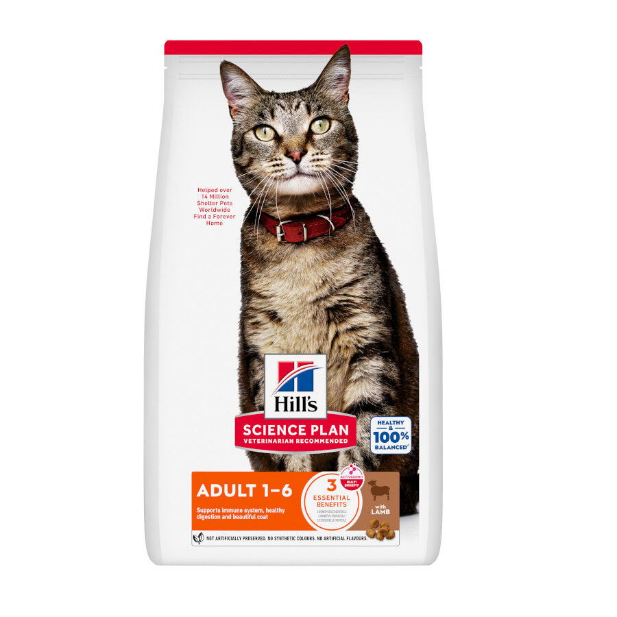 10 kg Hill's Science Plan Adult Cordero pienso para gatos, , large Imagen numero 1