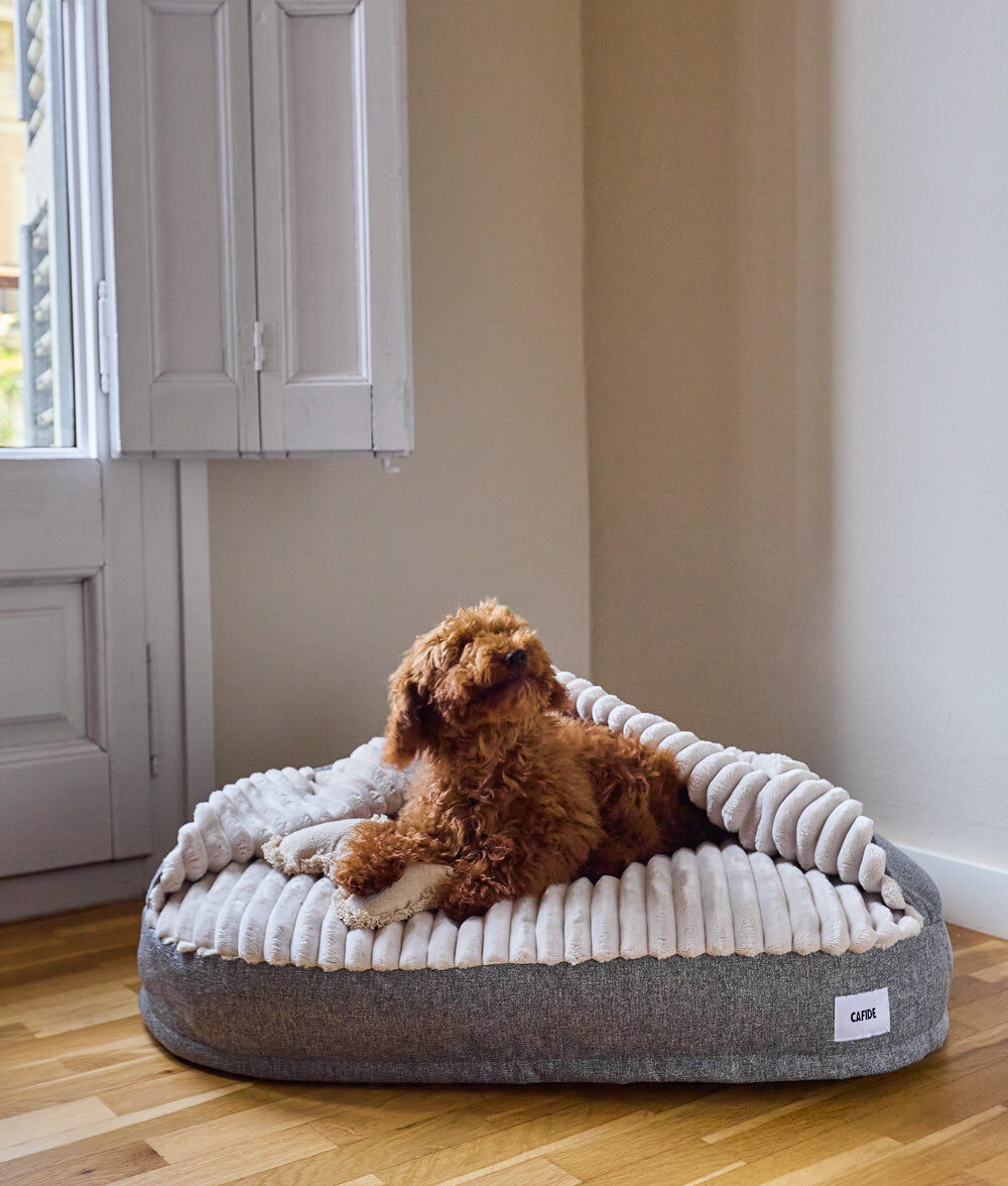 Cama Perro con Capucha Chenilla Gris, Maso, , large Imagen numero 4