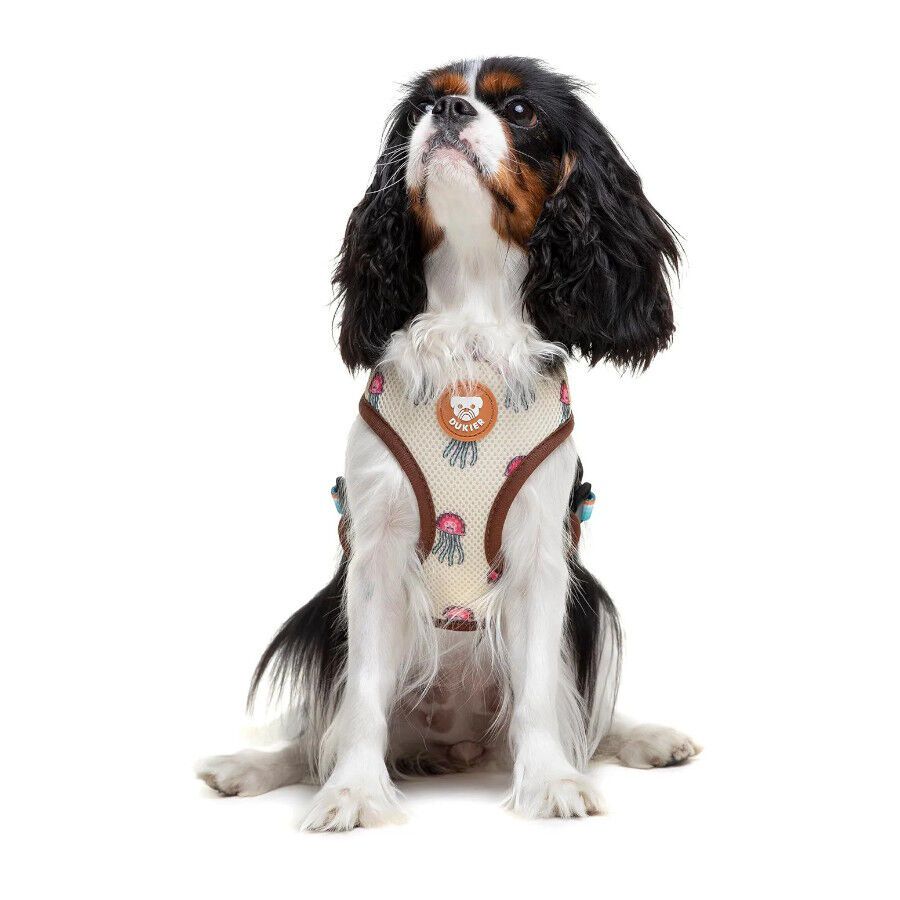 Dukier Arnés Reversible Estampado Tortugas para perros thumbnail